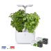Véritable Exky CLASSIC - Automatický květináč s regulací osvětlení, bílá + 2 bylinkové náplně