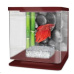 CATGATO Betarium Betta kit stones 2l