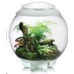 Terarium BIORB AIR bile 60l