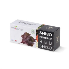 Véritable Lingot Fialový shiso - BIO Véritable Lingot Fialový shiso - BIO