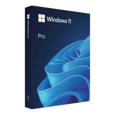 Windows Pro 11 64-bit Czech USB