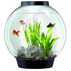 Akvarium BIORB cerne 30l Akvarium BIORB cerne 30l