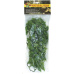 Rost.ter.ZMD Mexican Phyllo M