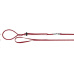Postr.FER HL NY RAB HARNESS RABBITS RED