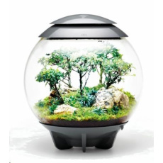 Terarium BIORB AIR sede 60l Terarium BIORB AIR sede 60l