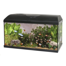 CATGATO Akvarium Pacific 60x30x30cm CATGATO Akvarium Pacific 60x30x30cm