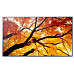 Sharp MultiSync® M432, LCD 43" Message Large Format Display, 24/7, 550 [cd/m2], 3840 x 2160, 8ms, 60Hz, 16:9