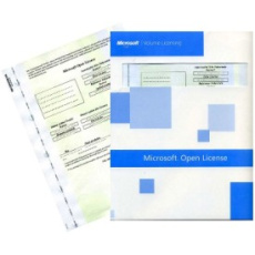 Visio Professional SA OLP NL Visio Professional SA OLP NL